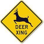 Deer Crossing