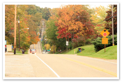 Fall Landscape