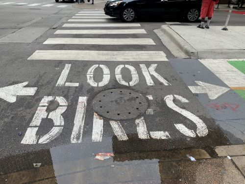 Look for Bicycles