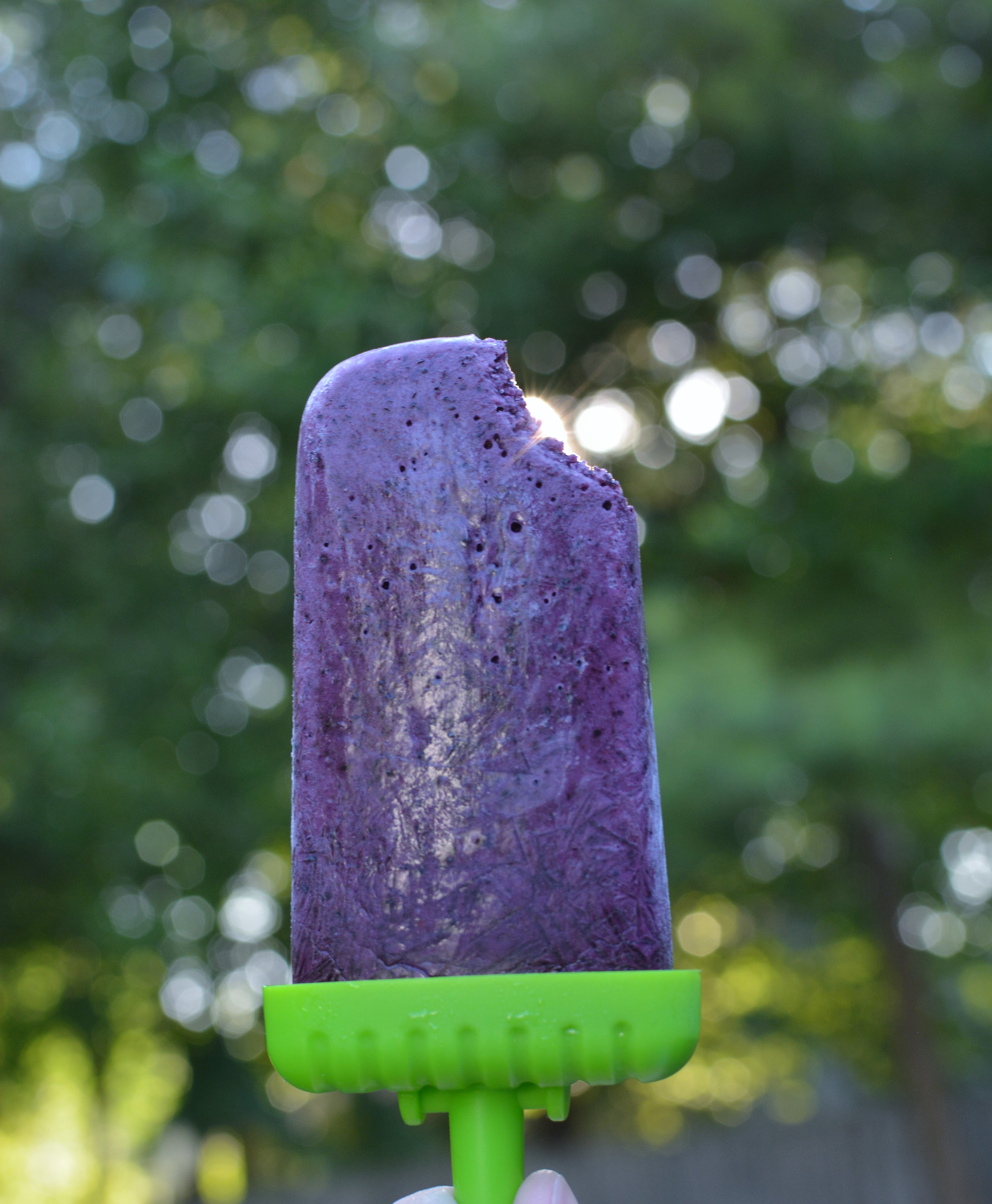 Easy Blueberry Popsicles