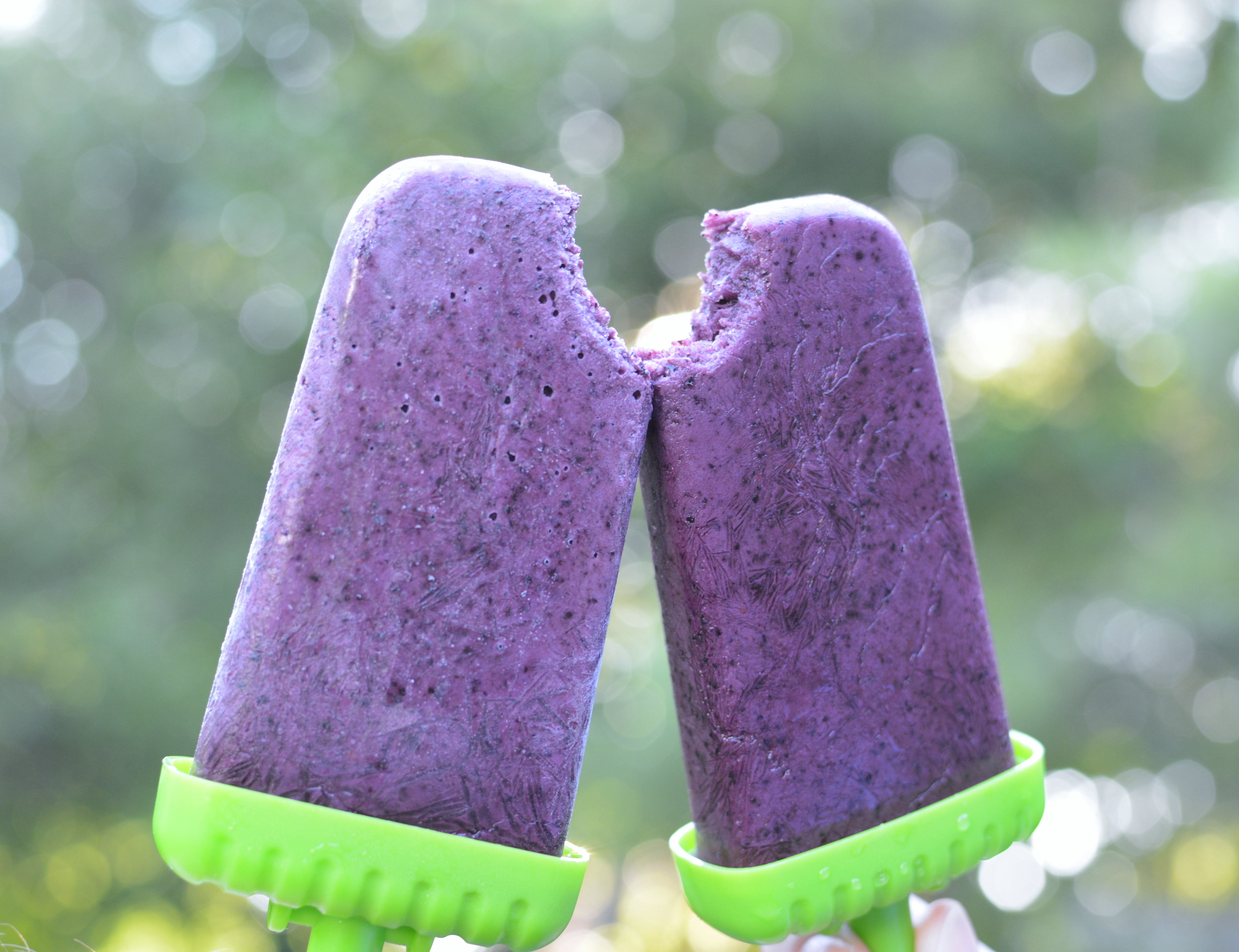 Easy Blueberry Popsicles