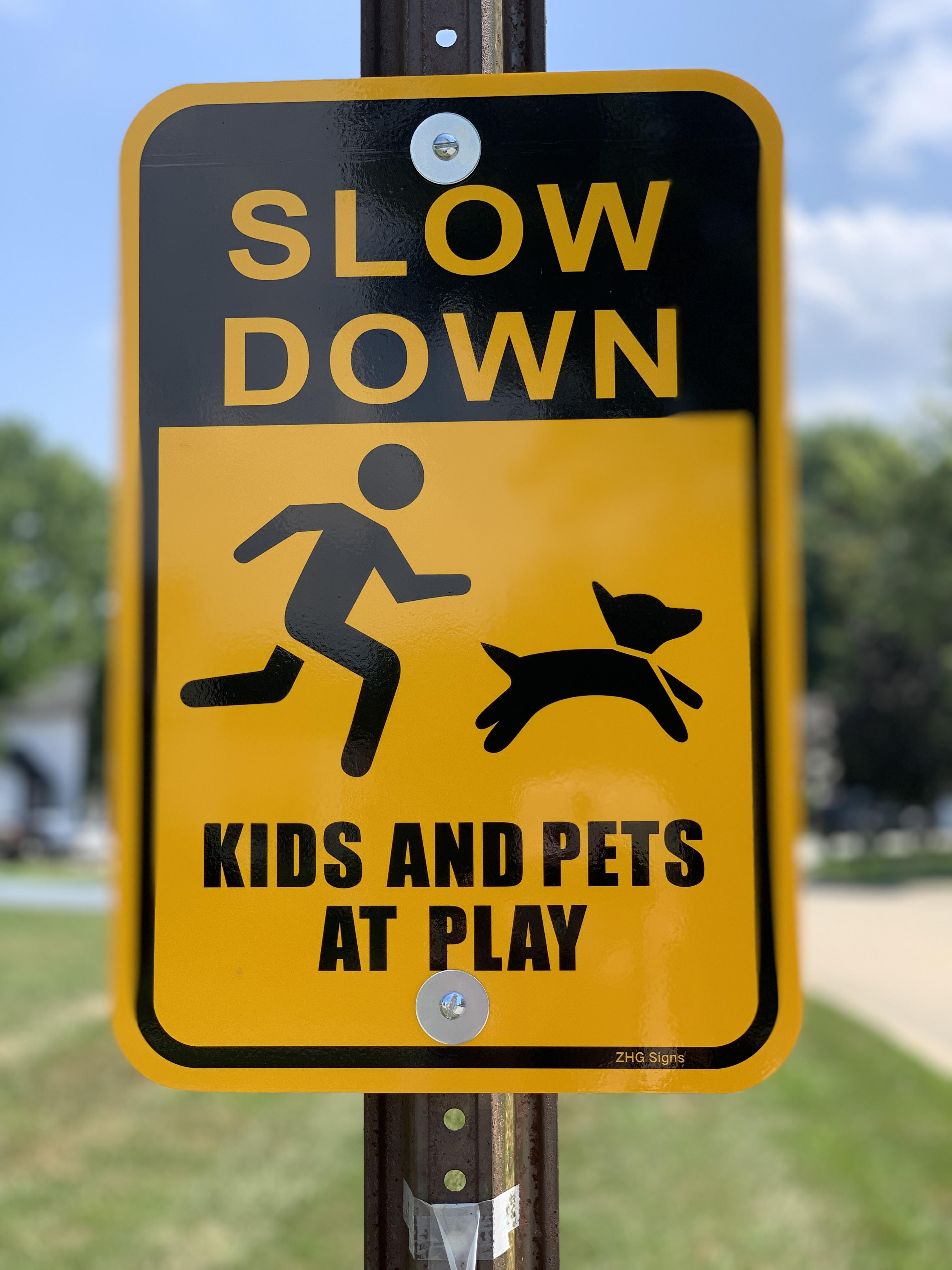 Kids and Pets at Play Sign
