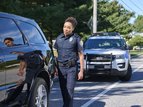 Traffic Stop